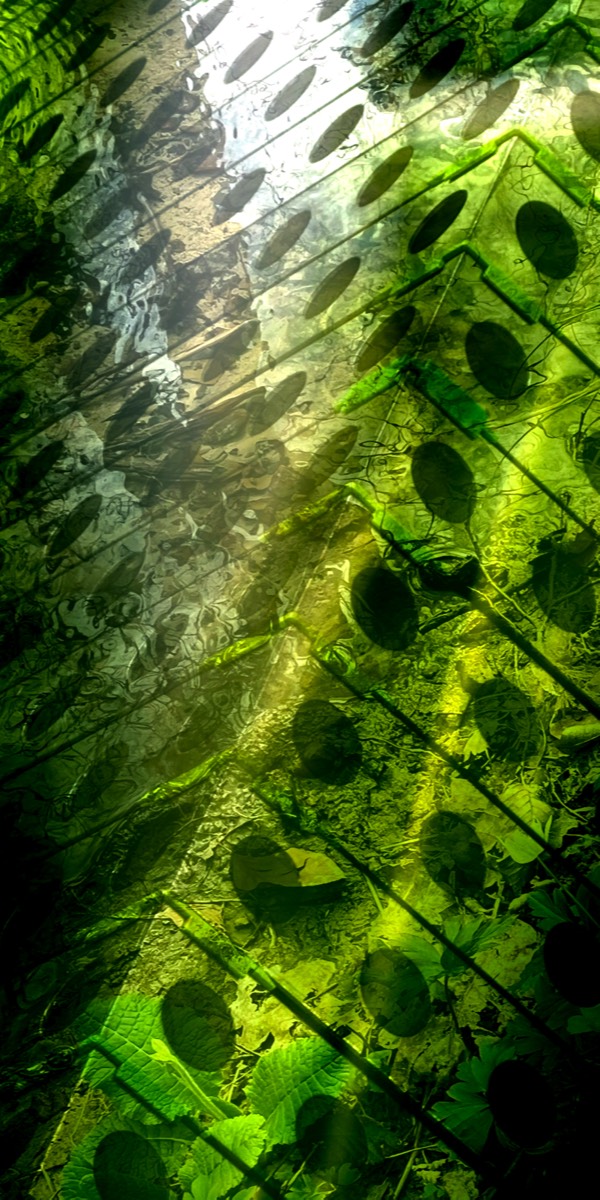 Stacks Image 331
